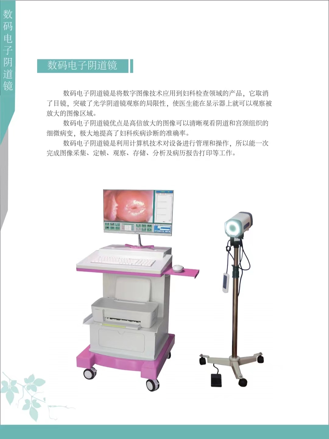 数码电子阴道镜(图1)